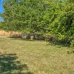 Prázdninový dům Maison 3 Au Calme Avec Jardin Et Vue Proche Sarlat *