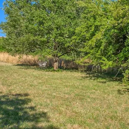 Prázdninový dům Maison 3 Au Calme Avec Jardin Et Vue Proche Sarlat *